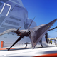 Image for article titled Formidable biologically inspired airplanes by Al Brady